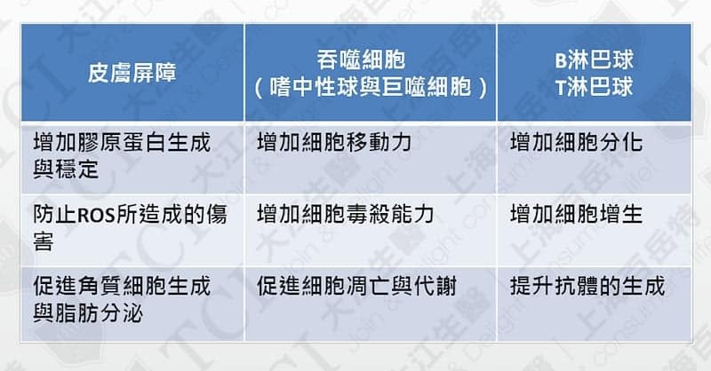 維他命C對免疫系統的功效。資料來源: Nutrients. 2017 Nov 3;9(11). pii: E1211.