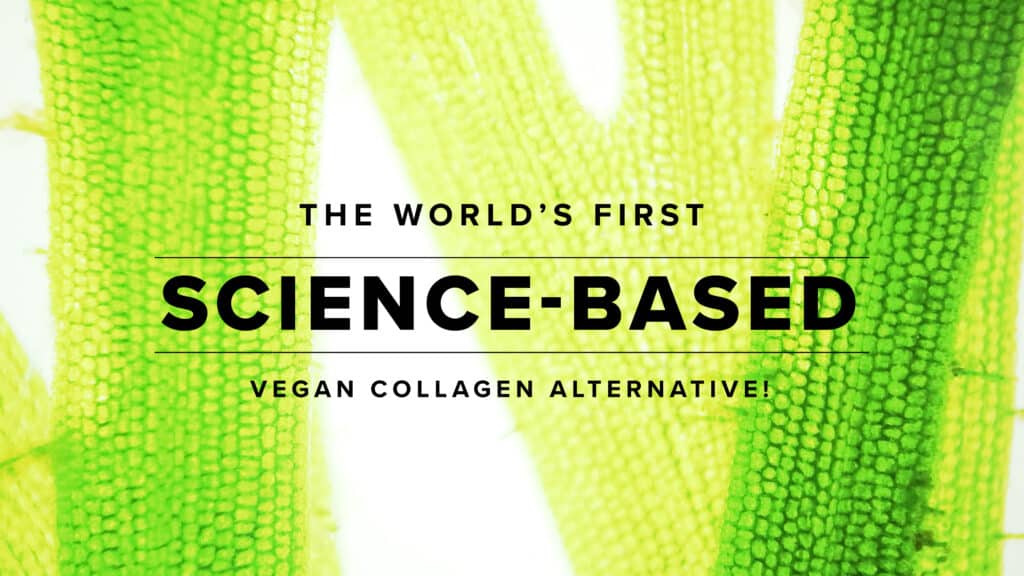 VeCollal_vegan collagen