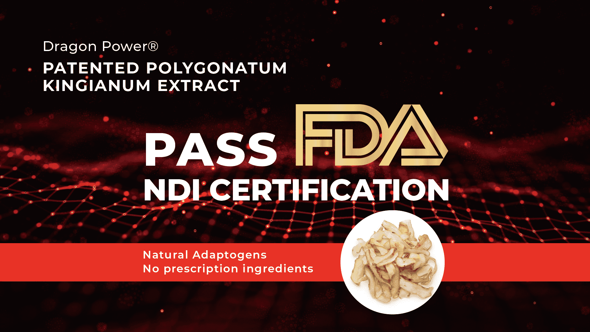 Polygonatum kingianum Approved by US FDA-New Dietary Ingredients (NDI) Extract