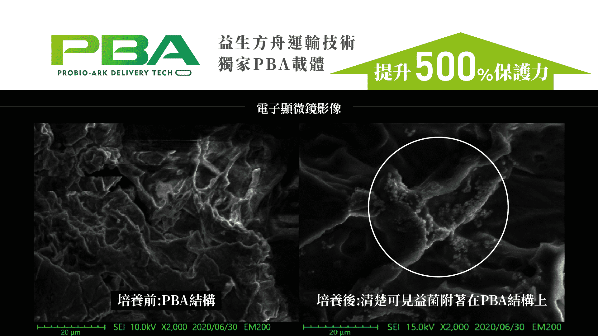 PBA益生方舟技術通過獨家植物配方打造益生菌高親和力載體，不僅包埋層數少，還能有效保護益生菌群，並大幅度提升耐酸性以及腸道運輸量，實現全方位益菌保護，讓好菌直達小腸，發揮最大效用。無論在模擬人體胃酸環境實驗還是臨床功效試驗中，都證明了PBA益生方舟技術對益生菌運輸及保護的高效性。