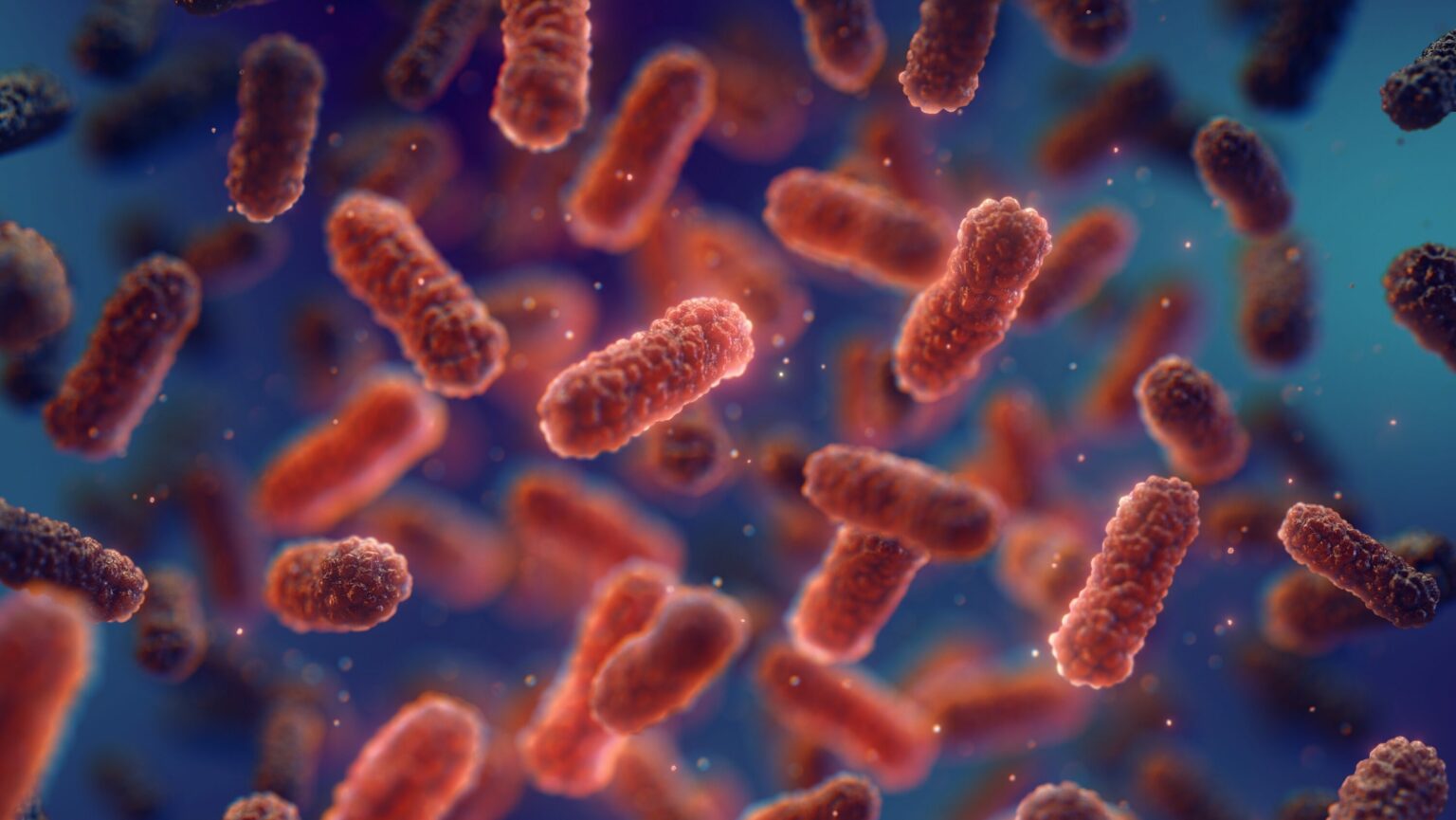 Revolutionizing Iron Absorption with Advanced Probiotic TCI837