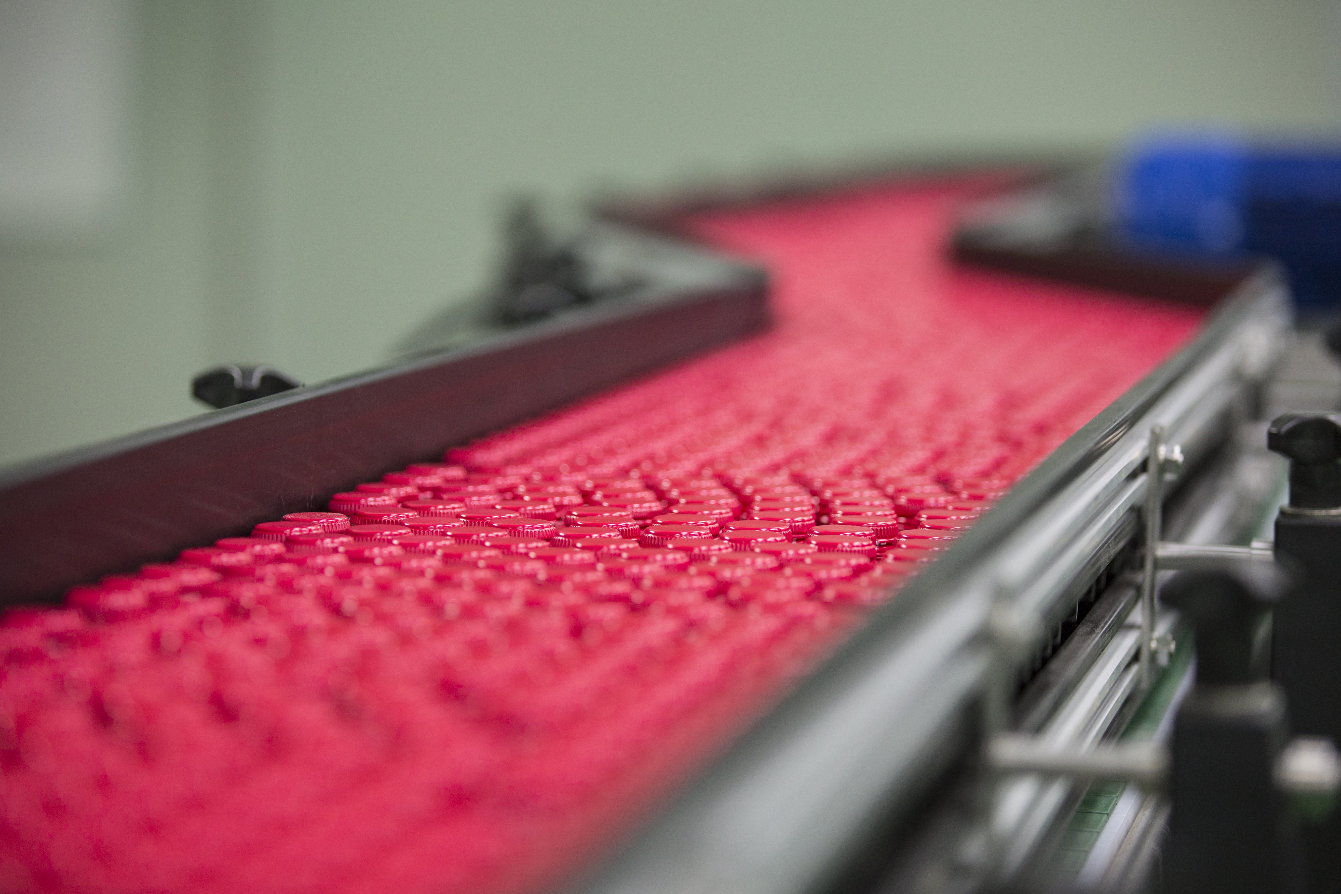 GMP certification process