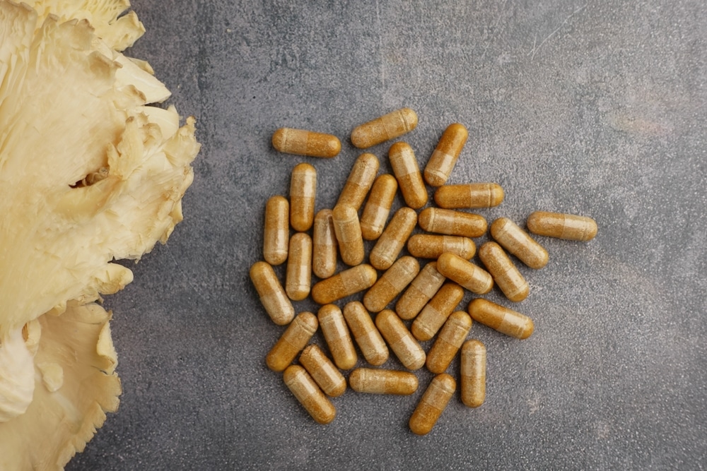 Mushroom extract supplement